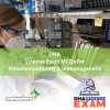 LICENSING FOR DHA HISTOCOMPATIBILITY & IMMUNOGENETIC